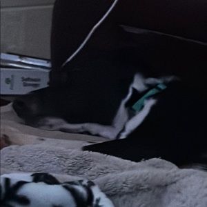 Meet your Posher, Jacob